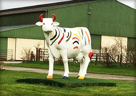 Vente directe de viande Ligné